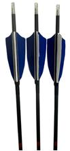 ARROWS CAN-ARC CARBON TARGET 1000 3"FEATHERS 30" RTS 72PK