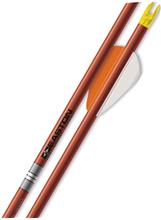 ARROWS FMJ 5MM AUTUMN ORANGE 340 2" BLAZER