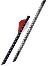 ARROWS FMJ DANGEROUS GAME 5MM 250 2" BLAZER 12PK