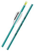 ARROWS XX75 GENESIS TEAL 1820 12PK