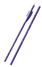 226400 ARROWS XX75 GENESIS 1820 PURPLE 3"V 6PK