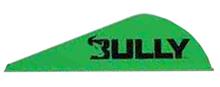 828632 EASTON BULLY VANE 2" FLO GREEN 100PK