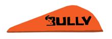 428634 EASTON BULLY VANE 2" ORANGE 100PK