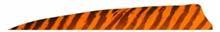 BARRED FEATHERS 4"RW SHIELD CUT ORANGE 100PK