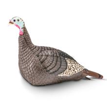 STRUT-LITE HEN DECOY