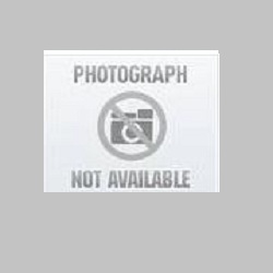 1867765 GRAND PRIX AXIA FOAM LIMBS 36# MEDIUM