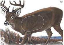 @NFAA GROUP 1 DEER TARGET FACE 28"x40"