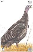 @NFAA GROUP 3 TURKEY TARGET FACE 14.25"x22.5"