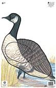 @NFAA GROUP 3 GOOSE TARGET FACE 14.25"x22.5"