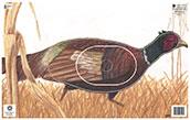 @NFAA GROUP 3 PHEASANT TARGET FACE 14.25"x22.5"