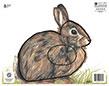 @NFAA GROUP 4 RABBIT TARGET FACE 11.25"x14.25"