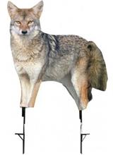 SONG DOG COYOTE DECOY