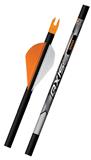 ARROWS AXIS SPORT 5MM 300 2" BLAZER 12PK