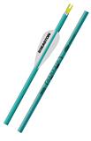 ARROWS XX75 GENESIS TEAL 1820 12PK