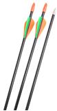 FIBERGLASS YOUTH ARROW 28"- 30# 72PK