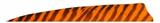 BARRED FEATHERS 4"RW SHIELD CUT ORANGE 100PK