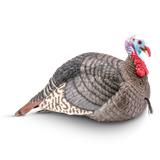 STRUT-LITE JAKE DECOY