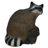 @RACCOON BACKYARD 3D TARGET 25"x16"x14"