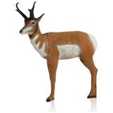 @PRONGHORN ANTELOPE PRO 3D TARGET 25"x18"x25"