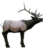 @ELK PRO 3D TARGET X-RAY SERIES (3 CARTONS 134#)