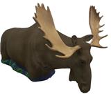 @MOOSE PRO 3D TARGET