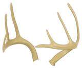 ^^@MEDIUM DEER ANTLERS (A-1)