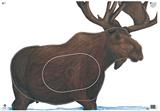 @NFAA GROUP 1 MOOSE TARGET FACE 28"x40"