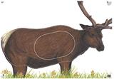 @NFAA GROUP 1 ELK TARGET FACE 28"x40"