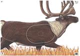 @NFAA GROUP 1 CARIBOU TARGET FACE 28"x40"