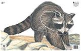 @NFAA GROUP 3 RACCOON TARGET FACE 14.25"x22.5"