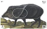 @NFAA GROUP 3 JAVALINA TARGET FACE 14.25"x22.5"