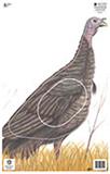 @NFAA GROUP 3 TURKEY TARGET FACE 14.25"x22.5"