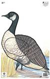 @NFAA GROUP 3 GOOSE TARGET FACE 14.25"x22.5"