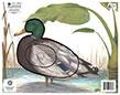 @NFAA GROUP 4 DUCK TARGET FACE 11.25"x14.25"