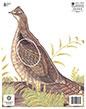 @NFAA GROUP 4 GROUSE TARGET FACE 11.25"x14.25"